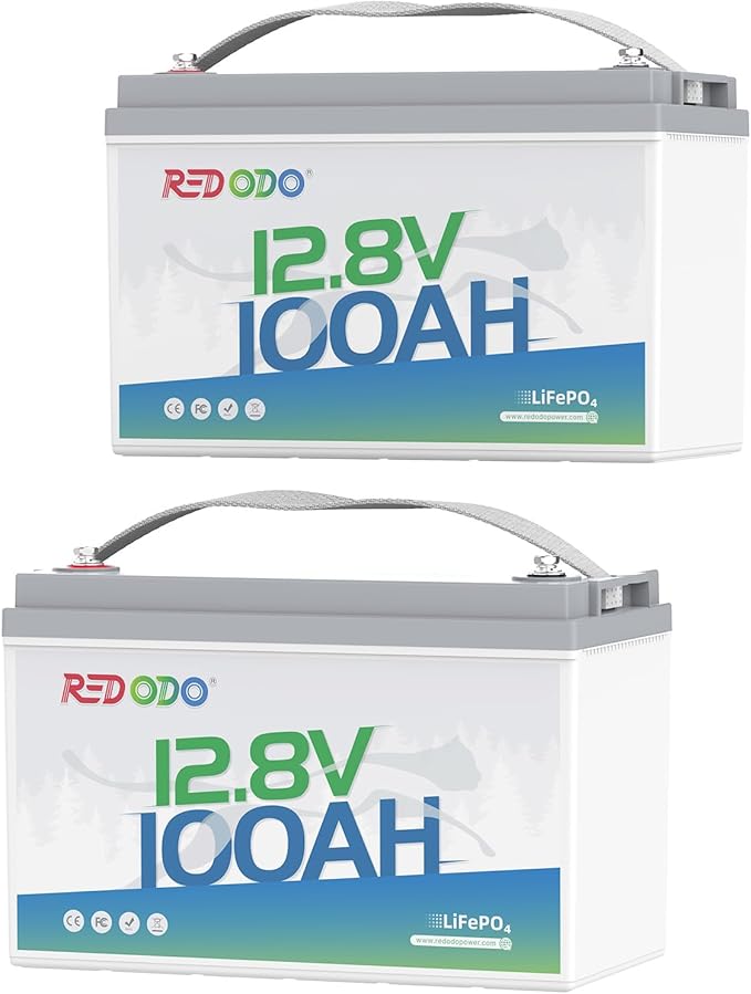 Redodo 2 Pack 12V 100Ah Lithium LiFePO4 Battery, Group 31 Battery Built in 100A by PrimeDayRedodoSaveup55