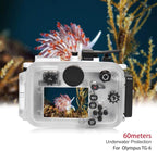 Seafrog WPC-TG6 Waterproof housing case Underwater Diving 195FT/60M Works - Image 7