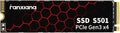 S501 256GB NVMe SSD 3D NAND1.3 PCIe Gen3x4 M.2 2280 Internal Solid State Drive by fanxiang