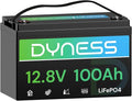 12V 100Ah LiFePO4 Lithium Battery BCI Group 31 by Dyness