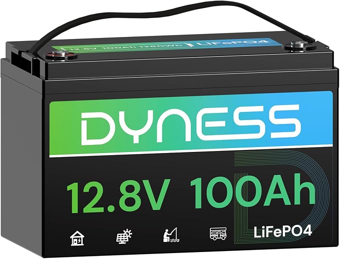 12V 100Ah LiFePO4 Lithium Battery BCI Group 31 by Dyness