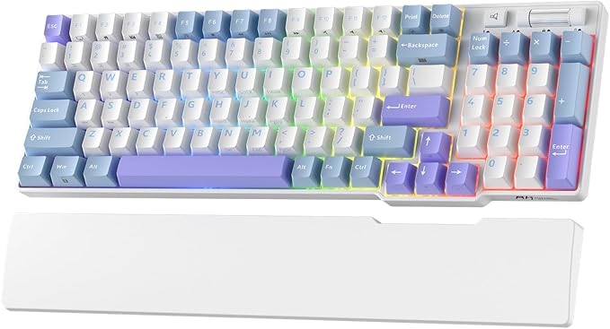 RK ROYAL KLUDGE RK96 RGB Limited Ed, 90% 96 Keys Wireless 3-Mode by MechanicalGamingKeyboard