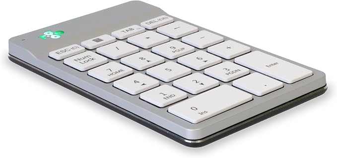 R-Go Number Pad Keyboard, for Financial Accounting, Data Entry & Excel by R-GoTools