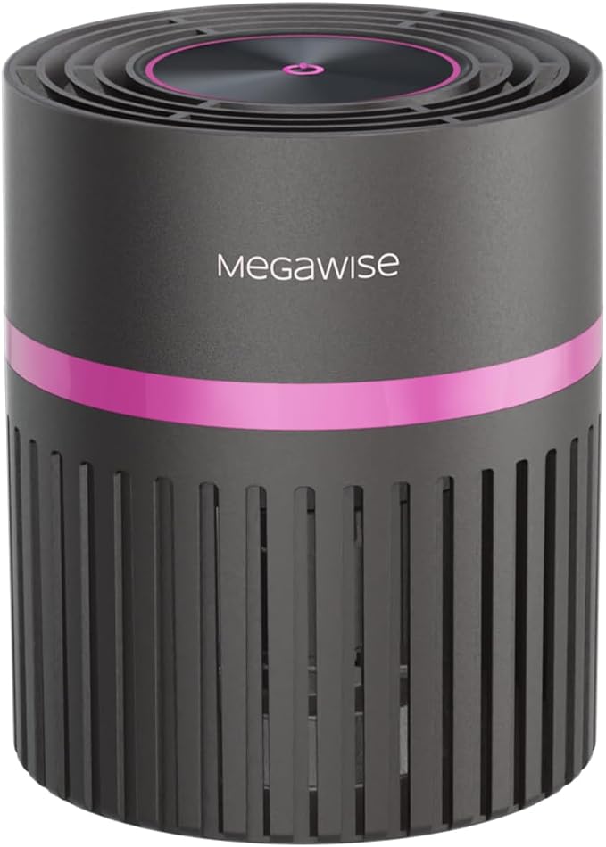 MEGAWISE Office Air Purifier by MEGAWISE