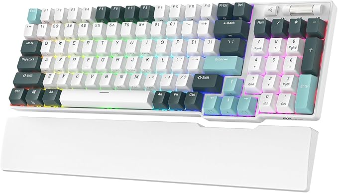 RK ROYAL KLUDGE RK96 RGB Limited Ed, 90% 96 Keys Wireless Triple Mode by MechanicalGamingKeyboard