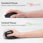 Rapoo EV250 Silent Vertical Ergonomic Mouse, 2.4G Wireless Optical Mouse - Image 3