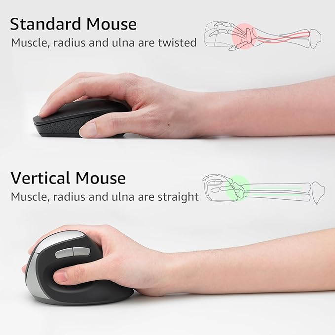 Rapoo EV250 Silent Vertical Ergonomic Mouse, 2.4G Wireless Optical Mouse - Image 3