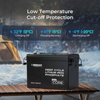 Renogy 12V 200Ah LiFePO4 Lithium Battery Mini Size, 200A Upgraded BMS, 380A - Image 3