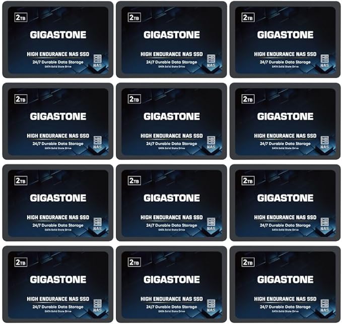 Gigastone 2TB NAS SSD Drive 24/7 Durable TLC High Endurance RAID Data Storage by Gigastone