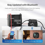 Renogy 12V 100Ah LiFePO4 Lithium Battery Mini Size, 100A BMS - Image 4