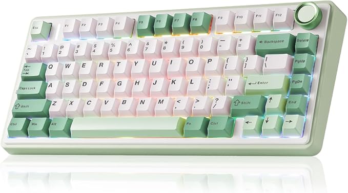 Aula F75 Gaming Keyboard, 75% Wireless Keyboards RGB Backlit by LEOBOG