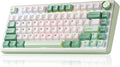 Aula F75 Gaming Keyboard, 75% Wireless Keyboards RGB Backlit by LEOBOG