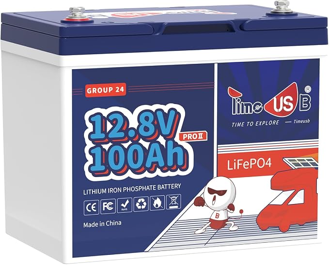 12V100Ah Group24 Mini LiFePO4 Battery, Grade A Battery Cells, Drop-in by Timeusb