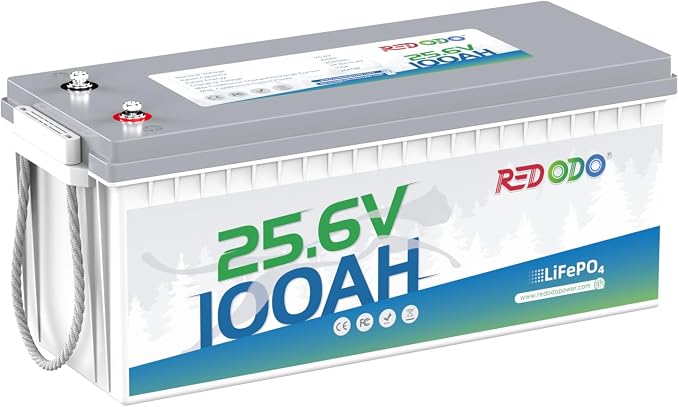 Redodo 24V 100Ah LiFePO4 Lithium Battery, Max. 2560W Power Output, Built in by PrimeDayRedodoSaveup55