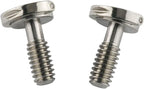 E-outstanding D Ring Hinged Screw 2PCS 1/4-20 Thread D-Ring Stainless Steel by E-outstanding
