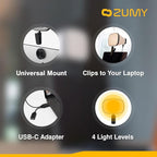 Softbox Video Conference Lighting - Image 5
