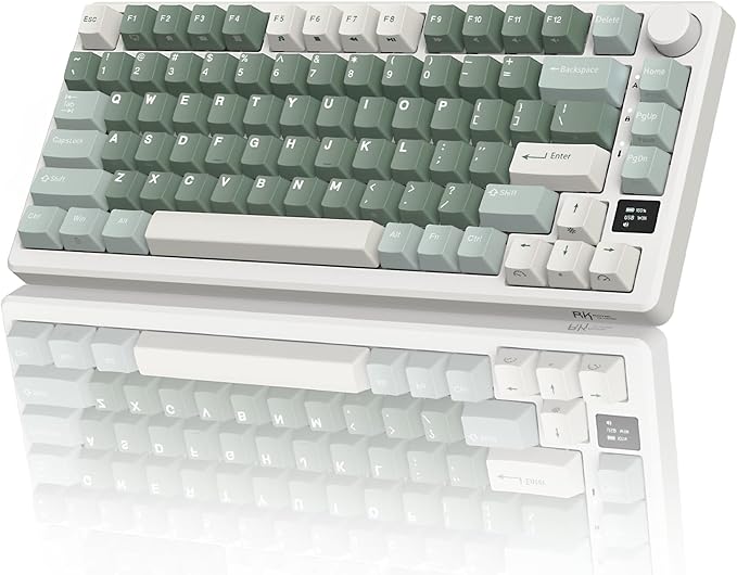 RK Royal KLUDGE M75 Wireless Mechanical Keyboard 2.4Ghz/BT5.1/USB-C Gaming by RKROYALKLUDGE