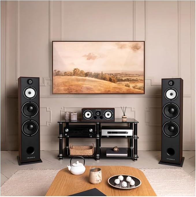 triangle - BOREA BR10 Hi-Fi Floorstanding Speakers - Power handling 200W - - Image 2