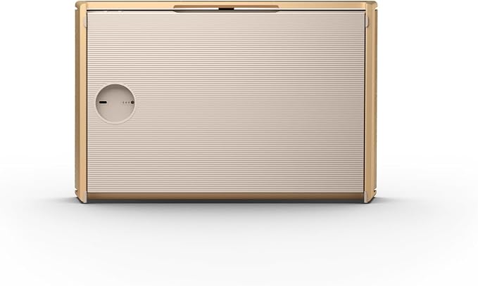 Bang & Olufsen Beosound Level Portable Wi-Fi Multiroom Speaker - Image 19