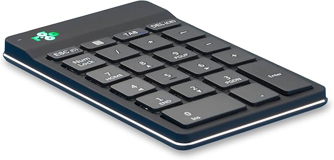 R-Go Number Pad Keyboard, for Financial Accounting, Data Entry & Excel by R-GoTools