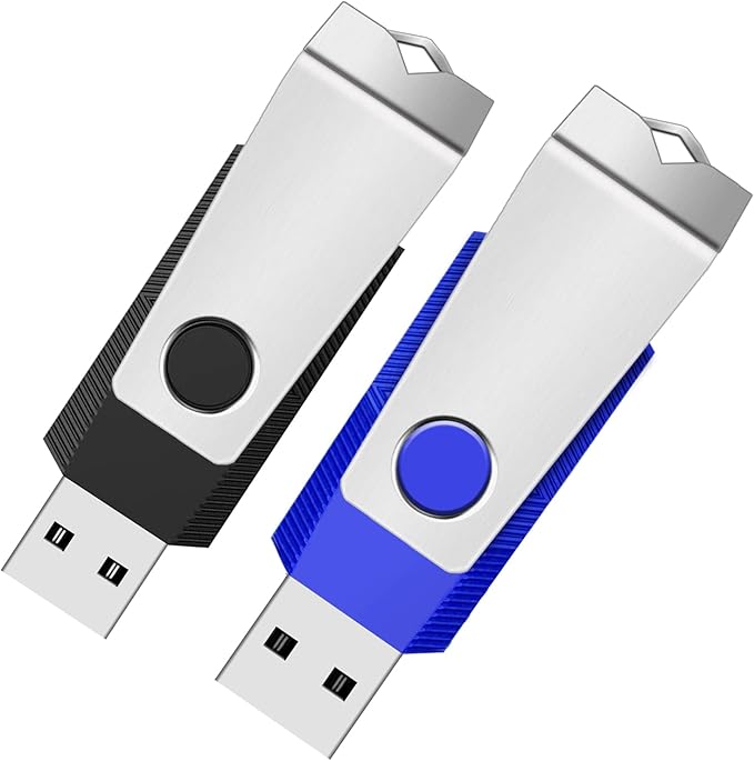 2GB Flash Drive 2 Pack, USB 2.0 Thumb Drives Jump Pen Drive Memory Stick by WOOOLKEN