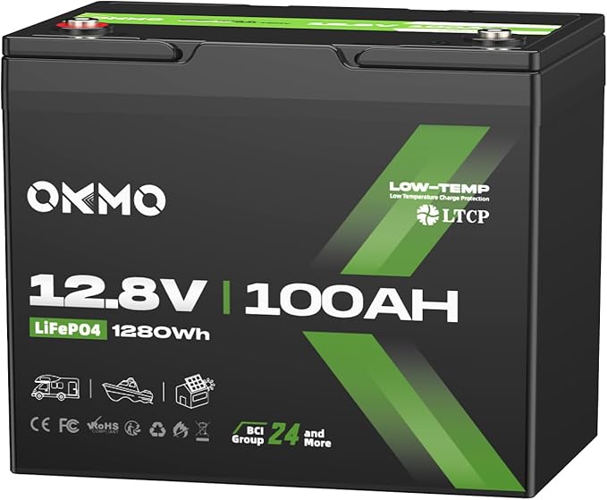 12V 100Ah LiFePO4 Battery, BCI Group 24, Built-in 100A BMS, 1280Wh Rechargeable by OKMOBeYourHomePowerBackup