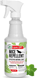 Mighty Mint Peppermint Oil Mouse Repellent Spray – Natural Indoor & Outdoor by MightyMint