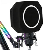 Professional Mic Isolation Shield by Ktondicisatyourservice