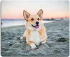 Corgi on The Beach Gaming Mouse Mat, Square Waterproof Non-Slip Rubber Base by EASTSMOOTH