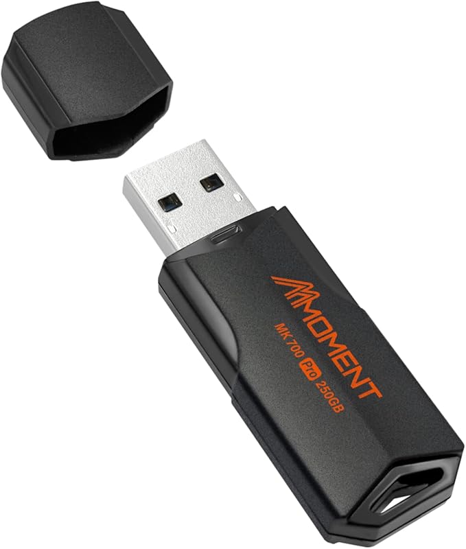 MMOMENT MK700 250GB USB 3.2 Gen2x1 Flash Drive, Read Speed up to 600MB/s by MMoment