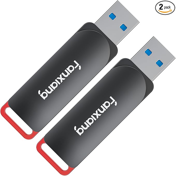 2 Pack 64GB USB Flash Drive, Metal Thumb Drives, USB 3.2 Up to 200MB/s Type A by fanxiang
