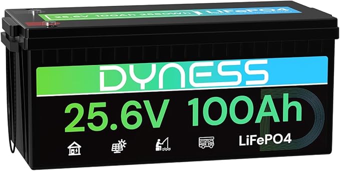 24V 100Ah LiFePO4 Lithium Battery, 2560Wh Large Capacity by Dyness