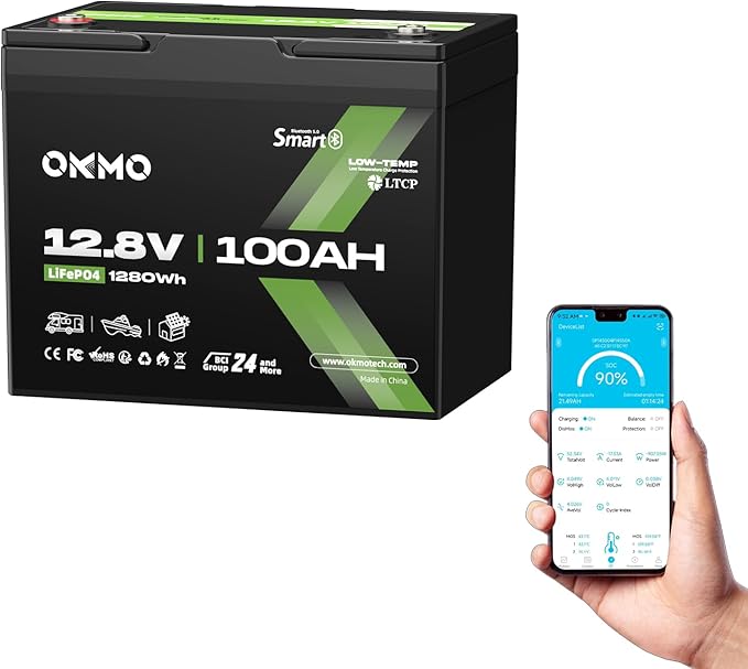 12V 100Ah LiFePO4 Battery with Bluetooth, BCI Group 24, Built-in 100A BMS by OKMOBeYourHomePowerBackup