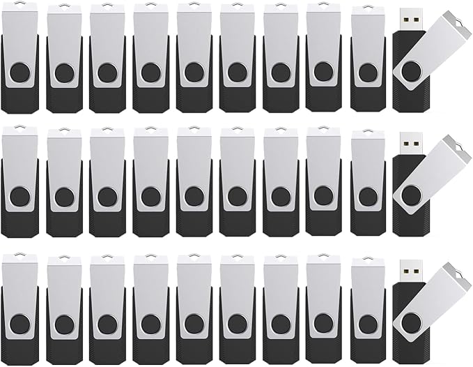 4GB Flash Drives 100 Pack, Wooolken USB 2.0 Thumb Drive by WOOOLKEN