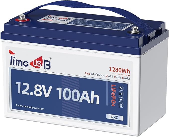 12V 100Ah Pro LiFePO4 Battery, Grade A Battery Cells, Group 31 Deep Cycle by Timeusb