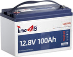 12V 100Ah LiFePO4 Battery with Low Temperature Cut off Protection Group31 by Timeusb