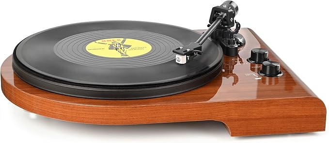 Vinyl Record Player with Bluetooth Input Output, Turntable with Built-in Preamp by Udreamer