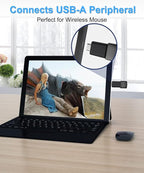 Elebase 4Pack USB to USB C Adapter - Image 2