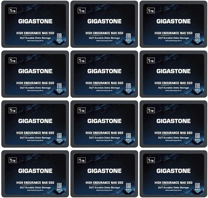 Gigastone 1TB NAS SSD Drive 24/7 Durable TLC High Endurance RAID Data Storage by Gigastone