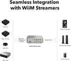 WiiM Vibelink Amp | 100W Power Amplifier - Image 4