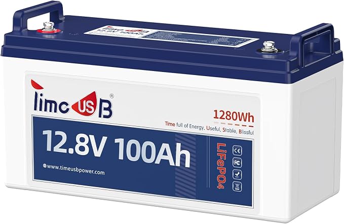 12V 100Ah LiFePO4 Battery, 4000+ Deep Cycle Lithium Battery, Built-in 100A BMS by Timeusb