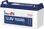 12V 100Ah LiFePO4 Battery, 4000+ Deep Cycle Lithium Battery, Built-in 100A BMS by Timeusb
