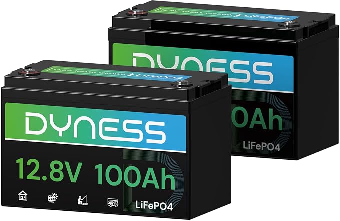 12V 100Ah LiFePO4 Lithium Battery BCI Group 31 by Dyness
