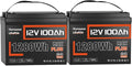 12V 100Ah LiFePO4 Battery MAX PLUS 2 Pack by HumsiENK