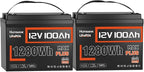 12V 100Ah LiFePO4 Battery MAX PLUS 2 Pack by HumsiENK