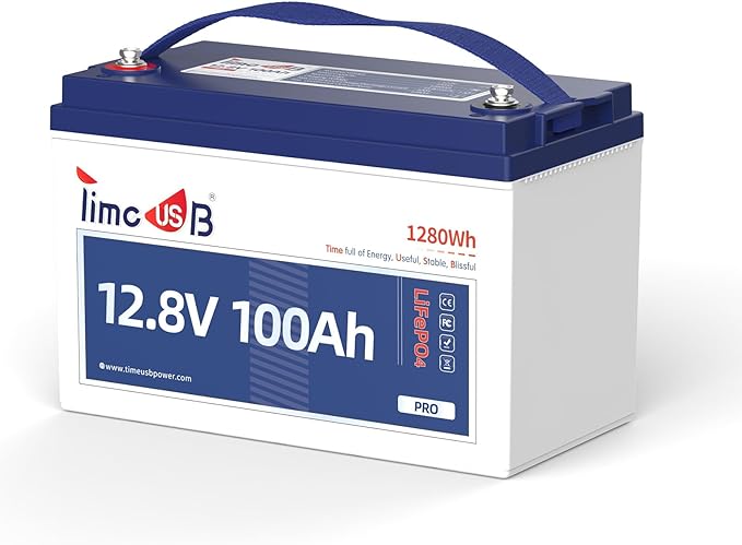 LiFePO4 Battery 12V100Ah Pro Group 31 Deep Cycle Battery by Timeusb