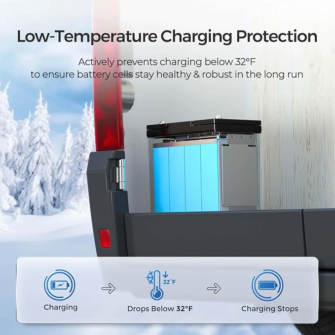 Renogy 2PCS 12V 100Ah Mini Size LiFePO4 Lithium Battery, 100A BMS - Image 3