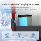 Renogy 12V 100Ah LiFePO4 Lithium Battery Mini Size, 100A BMS - Image 3