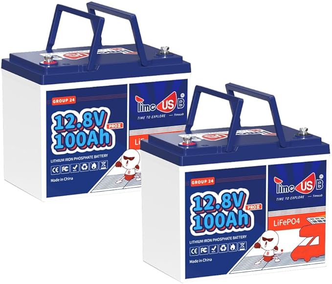 12V 100Ah Group24 Mini LiFePO4 Battery 2 Packs, Grade A Battery Cells, by Timeusb