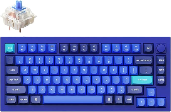 Keychron Q1 RGB Wired Custom Mechanical Keyboard, 75% Layout QMK/VIA by Keychron